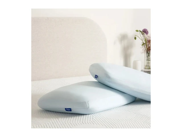 Casper Hybrid Snow Pillow with Snow Technology (Standard)