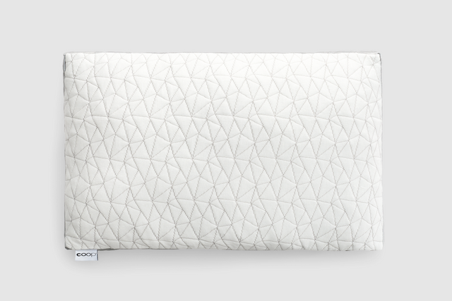 Coop Sleep Goods Eden Adjustable Pillow (Queen, Classic) studio product photo